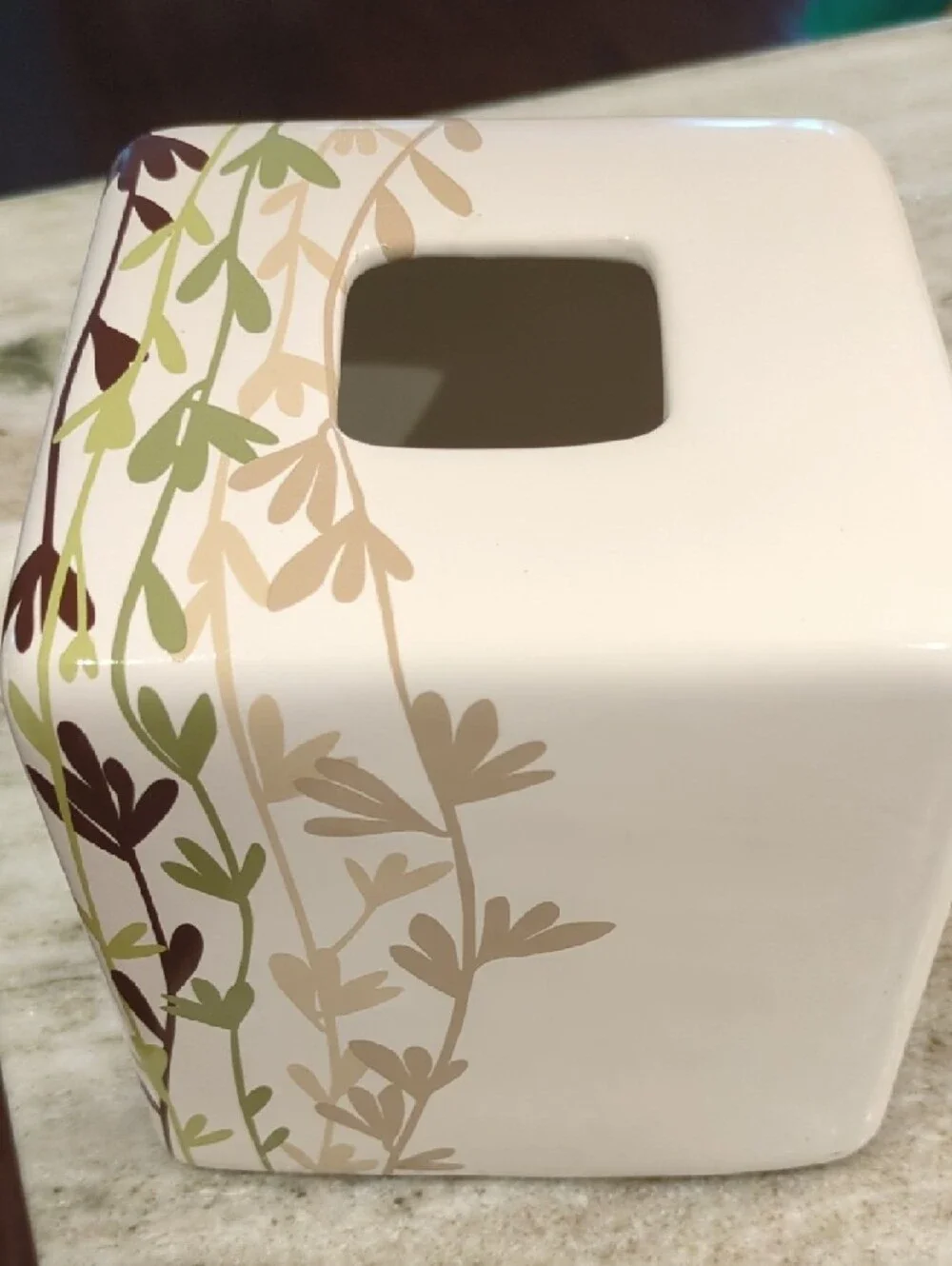 Neutral Ceramic Tissue Box Cover with Green and Brown Vine Design